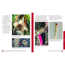 Victorinox Swiss Army Knife Camping & Outdoor Survival Guide Book 15 Victorinox Swiss Army Knife Camping & Outdoor Survival Guide Book -Victorinox Sales fc9951u pp86 x1000 3977884d d6f2 40b2 b319 5608c372d831